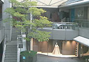 代官山フォーラム中庭